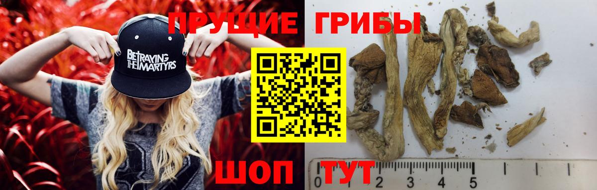 Ханты-Мансийск  Галлюциногенные грибы прущие грибы  Псилоцибиновые грибы мухоморы  Вход с VPN 